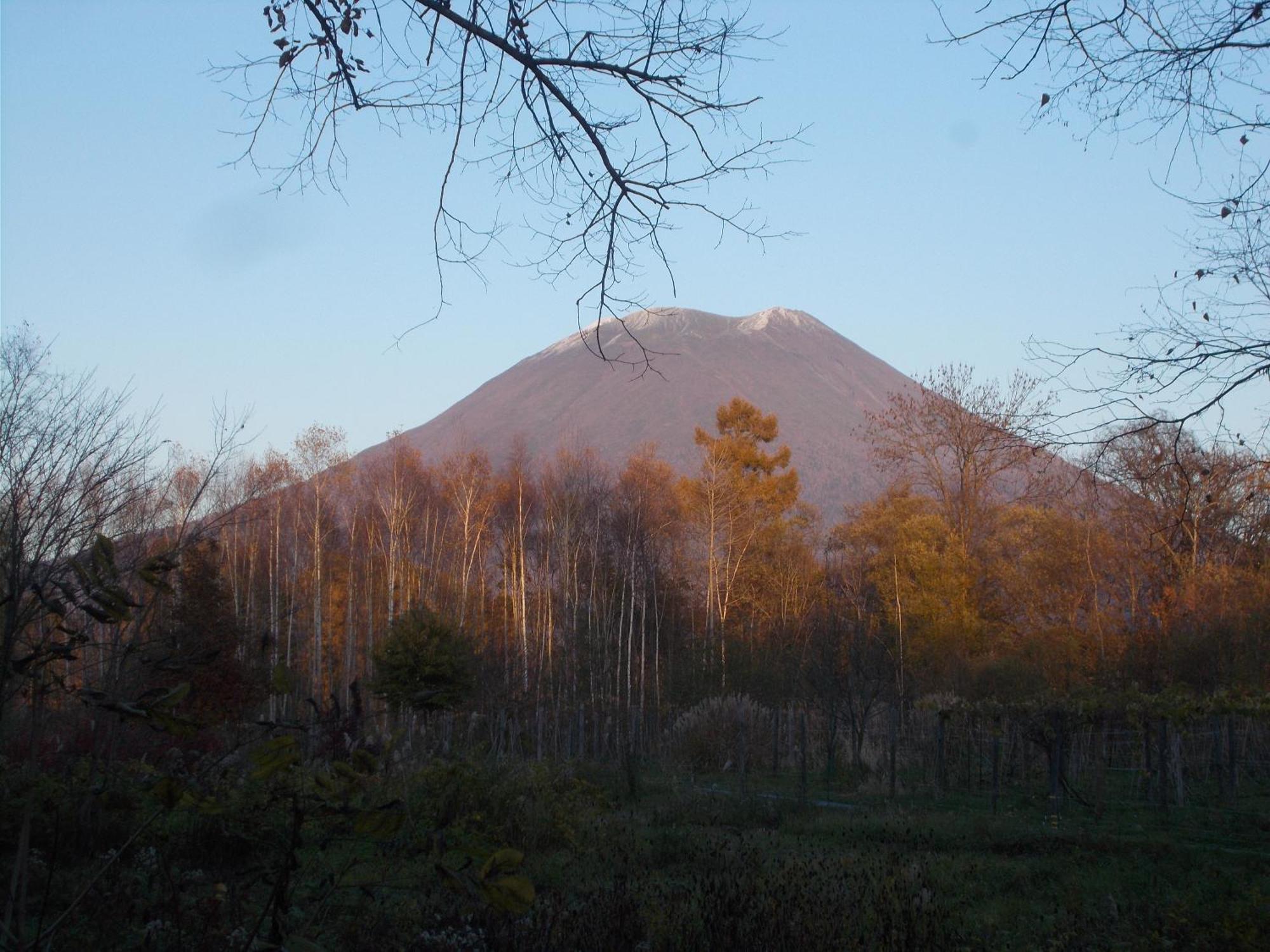 Niseko Shirokuma Cottage Exterior photo