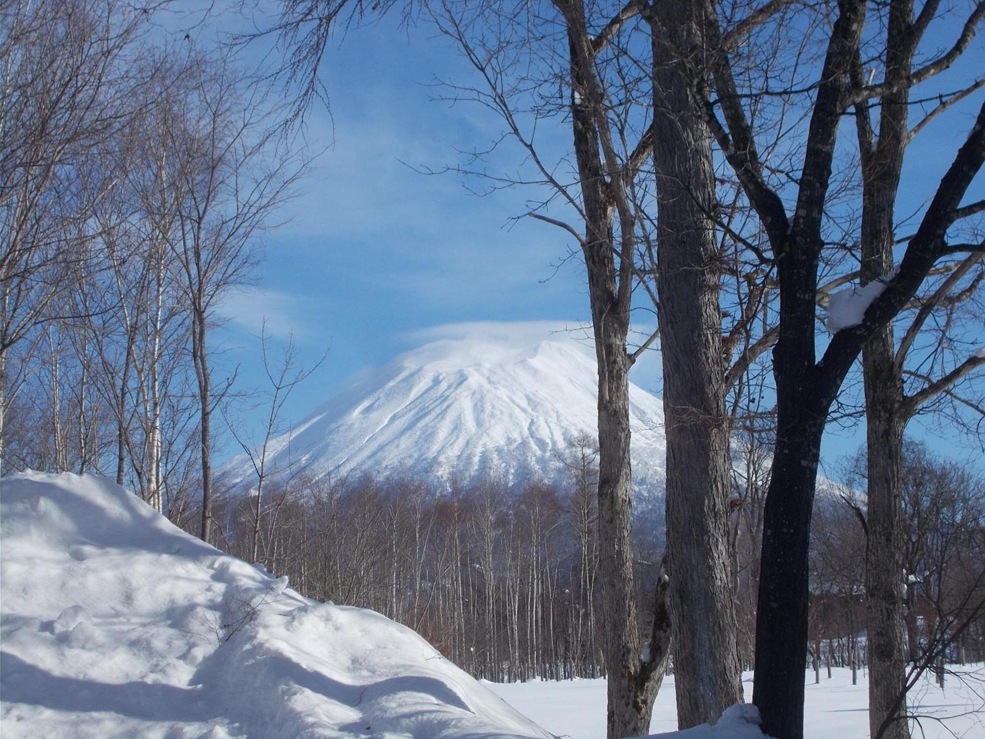 Niseko Shirokuma Cottage Exterior photo